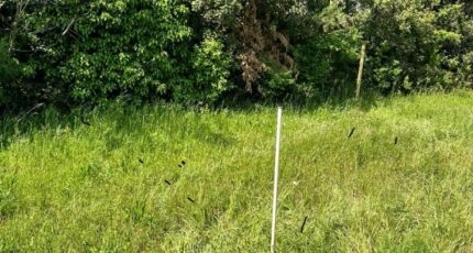 Septèmes-les-Vallons Terrain à bâtir - 2270156-7054annonce120250913h1qTb.jpeg Maisons de Manon