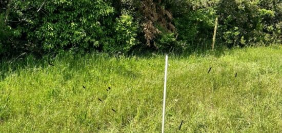 Terrain à bâtir à Septèmes-les-Vallons, Provence-Alpes-Côte d'Azur