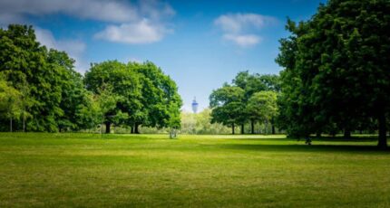 La Destrousse Terrain à bâtir - 2273727-7054annonce320250917LTFwa.jpeg Maisons de Manon