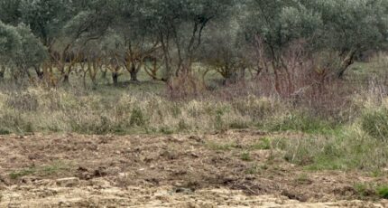 Rognes Terrain à bâtir - 2302395-7054annonce120251012aTibl.jpeg Maisons de Manon