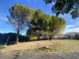 Terrain à bâtir à Pézenas (34120) 2274114-10896annonce320250917Ql475.jpeg Maisons de Manon