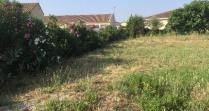 Canet Maison neuve - 2274180-10896annonce320250917b0kRi.jpeg Maisons de Manon