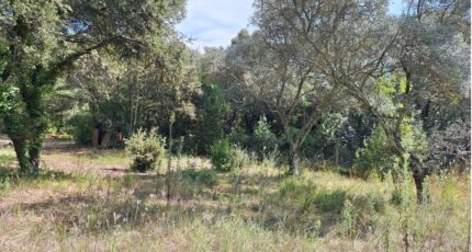 Villevieille Maison neuve - 2264330-609annonce120250908CMU2s.jpeg Maisons de Manon