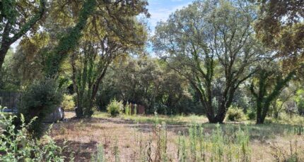 Villevieille Maison neuve - 2264331-609annonce220250908ypMTt.jpeg Maisons de Manon