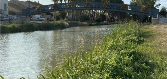 Terrain à bâtir à Sallèles-d'Aude, Occitanie