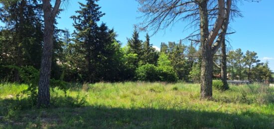 Terrain à bâtir à La Bastide-des-Jourdans, Provence-Alpes-Côte d'Azur
