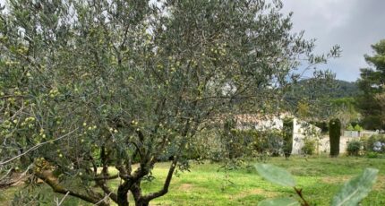 Cadenet Terrain à bâtir - 2340066-7050annonce320251117R9w8P.jpeg Maisons de Manon