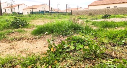 Pouzolles Maison neuve - 2304655-11018annonce220250623s7Qhp.jpeg Maisons de Manon