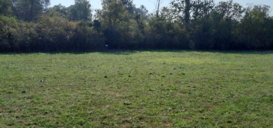 Terrain à bâtir à Saint-Maximin-la-Sainte-Baume, Provence-Alpes-Côte d'Azur