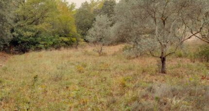 Saint-Maximin-la-Sainte-Baume Maison neuve - 2310257-10744annonce320251019xPnTF.jpeg Maisons de Manon