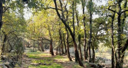 Saint-Maximin-la-Sainte-Baume Maison neuve - 2310227-10744annonce320251019uESOv.jpeg Maisons de Manon