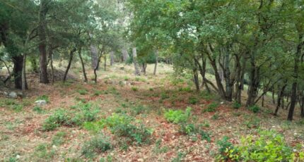 Saint-Maximin-la-Sainte-Baume Maison neuve - 2310235-10744annonce420251019t4Qi2.jpeg Maisons de Manon