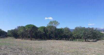 Montauroux Maison neuve - 2341424-5826annonce220250930bT8GW.jpeg Maisons de Manon