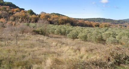 Rognes Terrain à bâtir - 2275037-7060annonce120240611TCD4z.jpeg Maisons de Manon