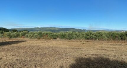 Rognes Terrain à bâtir - 2275037-7060annonce320240611ycO9v.jpeg Maisons de Manon