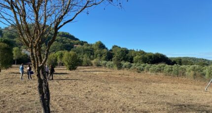 Rognes Terrain à bâtir - 2275037-7060annonce42024061132UOJ.jpeg Maisons de Manon