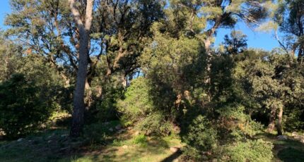 Martigues Terrain à bâtir - 2308757-7060annonce320250626h93eF.jpeg Maisons de Manon