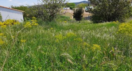 Meyreuil Terrain à bâtir - 2341811-7060annonce120251118Z9r7v.jpeg Maisons de Manon