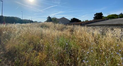 Plan-de-Cuques Maison neuve - 2287914-7060annonce320250131Rybno.jpeg Maisons de Manon