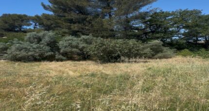 Cabriès Terrain à bâtir - 2267411-7054annonce120250911aMXuO.jpeg Maisons de Manon