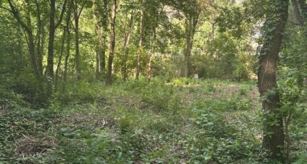 Saint-Cannat Terrain à bâtir - 2262829-7054annonce1202509120Lzze.jpeg Maisons de Manon