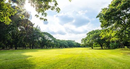 Lambesc Terrain à bâtir - 2270590-7054annonce220250914fJQ1L.jpeg Maisons de Manon