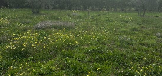 Terrain à bâtir à , Bouches-du-Rhône