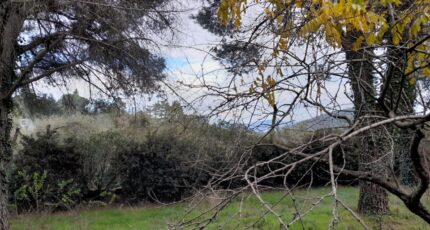 La Garde-Freinet Terrain à bâtir - 2274753-9707annonce420250917fnoed.jpeg Maisons de Manon