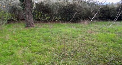 La Garde-Freinet Maison neuve - 2274756-9707annonce520250917acByB.jpeg Maisons de Manon