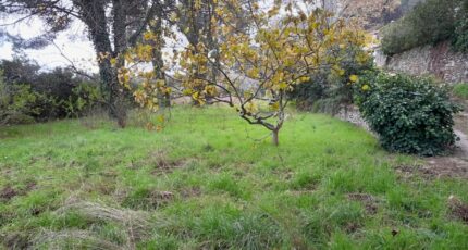 La Garde-Freinet Maison neuve - 2274756-9707annonce120250917E6DDV.jpeg Maisons de Manon