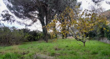 La Garde-Freinet Maison neuve - 2274756-9707annonce320250917hkCan.jpeg Maisons de Manon