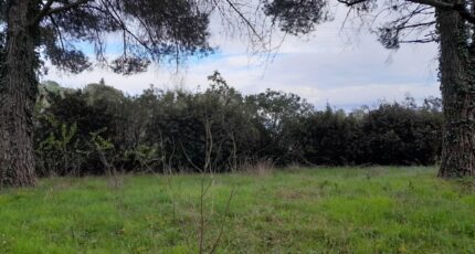 La Garde-Freinet Maison neuve - 2274759-9707annonce220250917RJPrg.jpeg Maisons de Manon