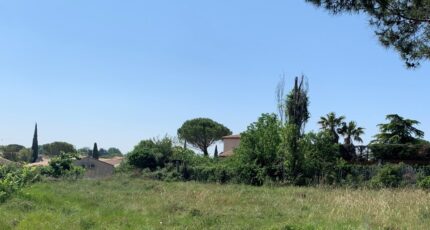 Pélissanne Terrain à bâtir - 2309441-7064annonce120251017GUWgo.jpeg Maisons de Manon