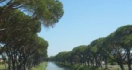 Sallèles-d'Aude Maison neuve - 2301858-665annonce2202510109rMzT.jpeg Maisons de Manon