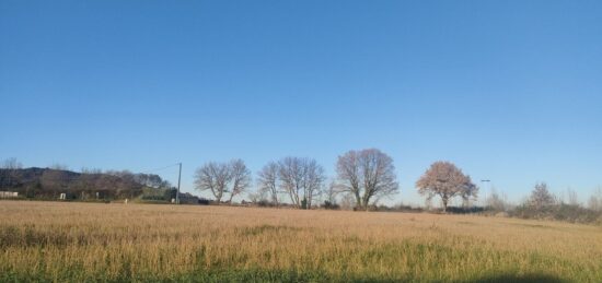 Terrain à bâtir à Aubais, Occitanie