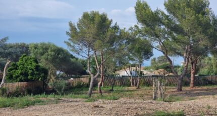 Hyères Maison neuve - 2299226-11079annonce120241015D6Ldz.jpeg Maisons de Manon