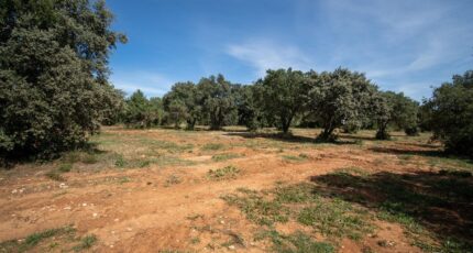 Saint-Siffret Maison neuve - 2315151-3243annonce320251023zavIZ.jpeg Maisons de Manon