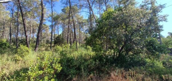 Terrain à bâtir à Bagnols-en-Forêt, Provence-Alpes-Côte d'Azur