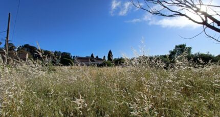 La Motte Maison neuve - 2282544-9911annonce5202509242sSWX.jpeg Maisons de Manon