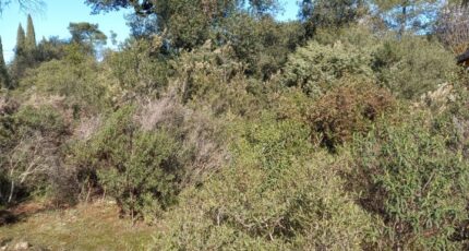 Le Cannet-des-Maures Maison neuve - 2282043-9911annonce220250924P9ubI.jpeg Maisons de Manon