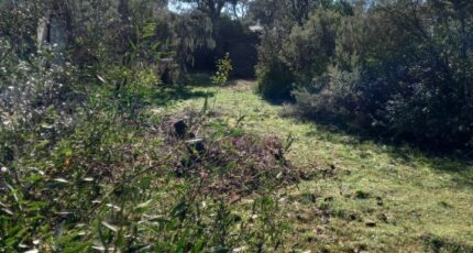 Le Cannet-des-Maures Maison neuve - 2282044-9911annonce120250924Ao2LF.jpeg Maisons de Manon