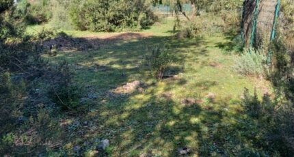 Le Cannet-des-Maures Maison neuve - 2282044-9911annonce320250924TJifT.jpeg Maisons de Manon