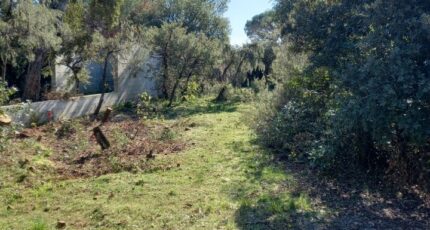 Le Cannet-des-Maures Maison neuve - 2282044-9911annonce5202509243dweL.jpeg Maisons de Manon