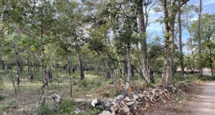 Le Thoronet Maison neuve - 2282080-9911annonce120250924C5vgC.jpeg Maisons de Manon