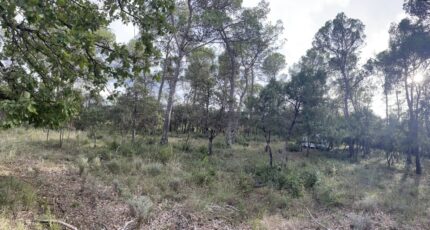 Le Thoronet Maison neuve - 2282080-9911annonce320250924ETIWA.jpeg Maisons de Manon