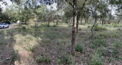 Le Thoronet Maison neuve - 2282080-9911annonce420250924F9NAG.jpeg Maisons de Manon