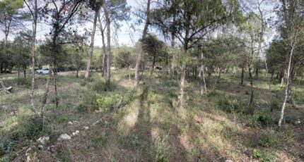 Le Thoronet Maison neuve - 2282077-9911annonce2202509241Nqnk.jpeg Maisons de Manon