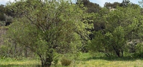 Terrain à bâtir à , Bouches-du-Rhône