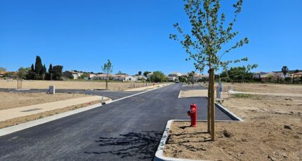 Nissan-lez-Enserune Terrain à bâtir - 2347335-11018annonce320250804ifsTf.jpeg Maisons de Manon