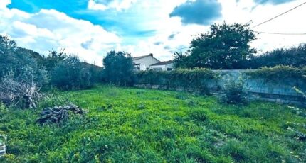 Saint-André-de-Sangonis Terrain à bâtir - 2280269-10896annonce220250923P0PkL.jpeg Maisons de Manon